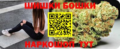 гашик Будённовск