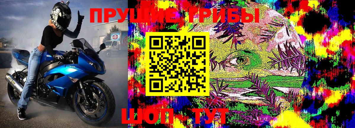 Галлюциногенные грибы ЛСД  Галлюциногенные грибы Psilocybe  Вход с VPN  Санкт-Петербург 